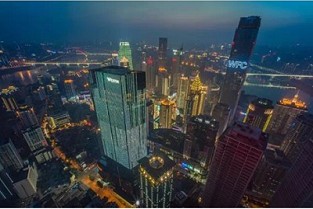 cst抗体 树脂毒素